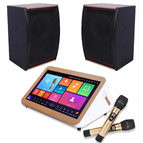 All-in-one karaoke jukebox 15.6” built-in amplifier with uhf wireless microphone and speaker